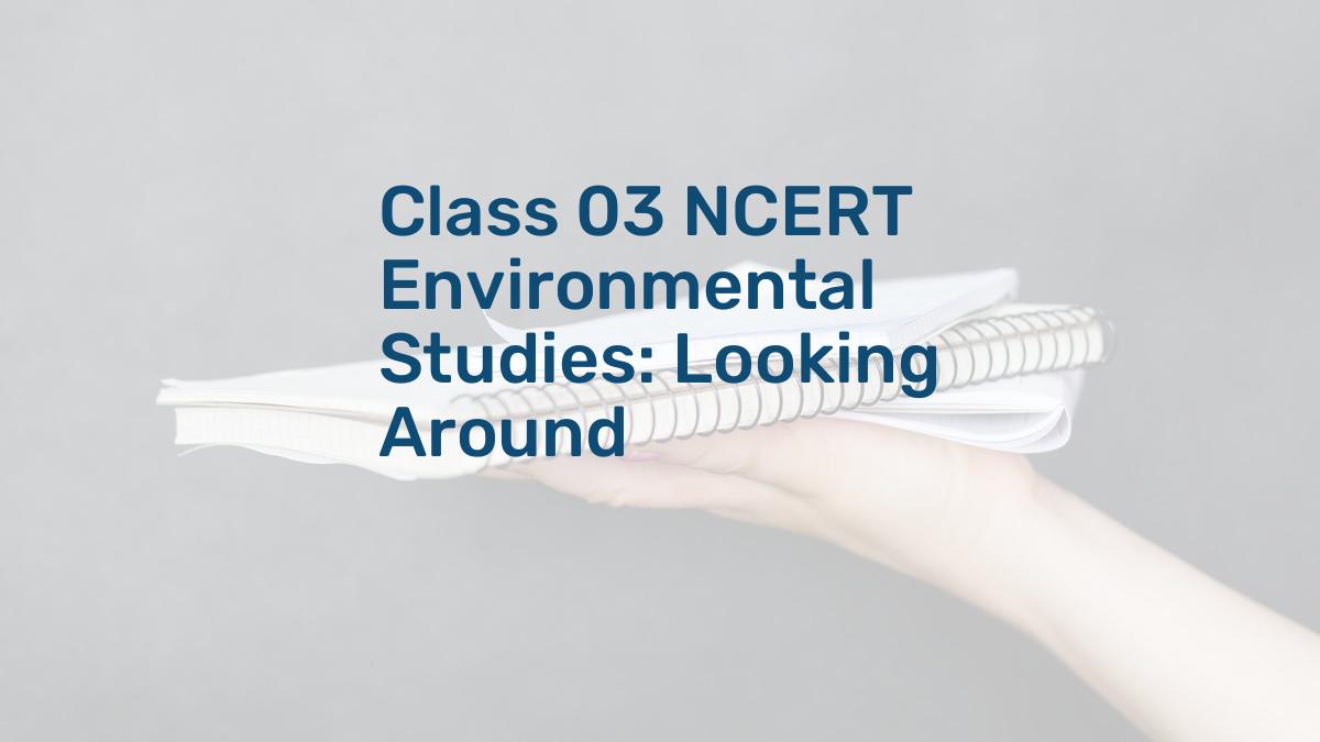 Class 03 NCERT Environmental Studies: Looking Around