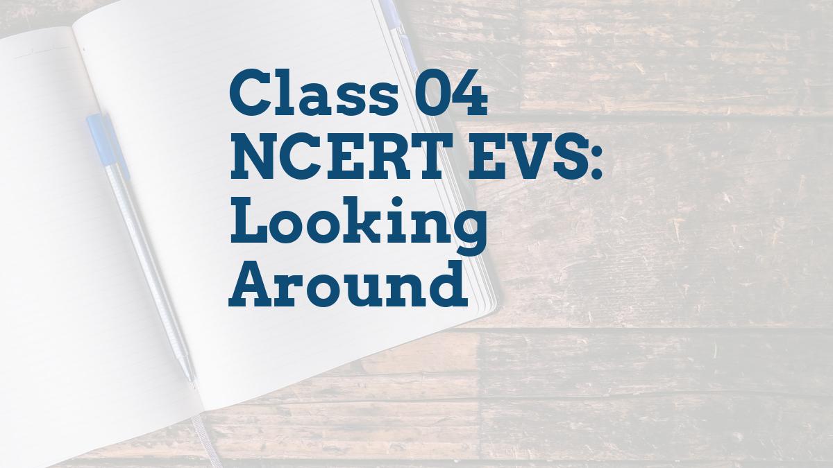 Class 04 NCERT EVS: Looking Around