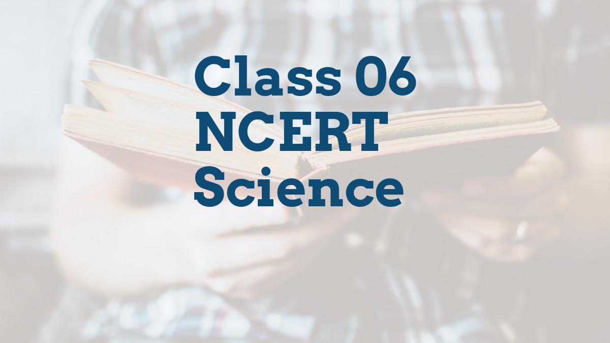 Class 06 NCERT Science